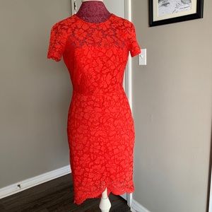 Vince Camuto Lace Dress
